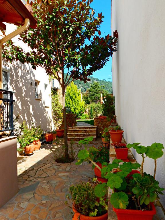 Panorama Apartments And Studios Chrysi Ammoudia Bagian luar foto